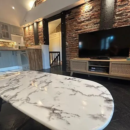 公寓 Loft De Standing 绍莱