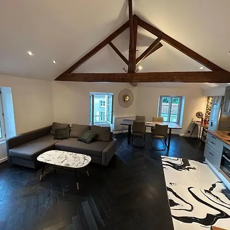 公寓 Loft De Standing 绍莱