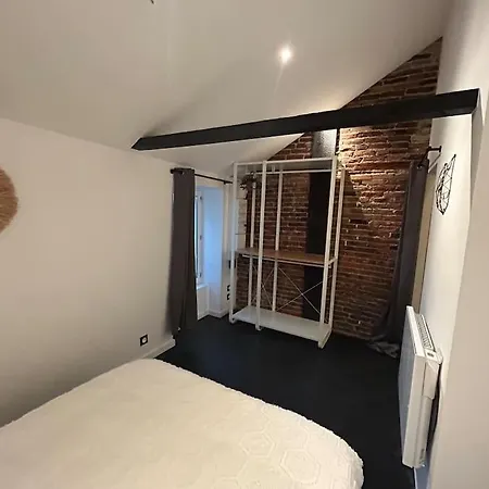 Loft De Standing 公寓 绍莱