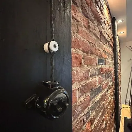 公寓 Loft De Standing 绍莱