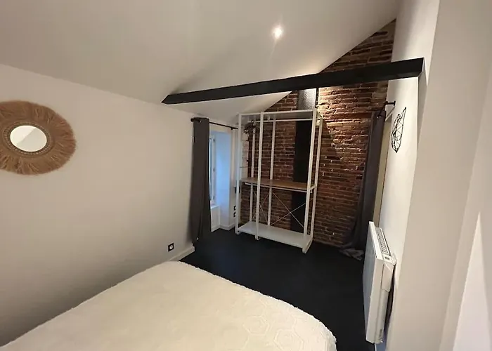 Loft De Standing Apartment Cholet